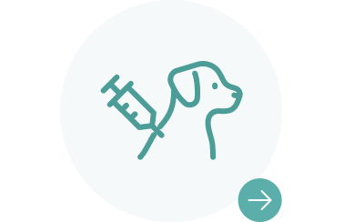 りんごの樹動物総合医療センター | 専門外来専用サイト | 犬・猫・エキゾチックなど動物の専門治療病院 | 皮膚科・眼科・エキゾチック科・腫瘍科・麻酔科・臨床病院科・ 内視鏡外科・循環器科・行動診療科  ・緊急救命科