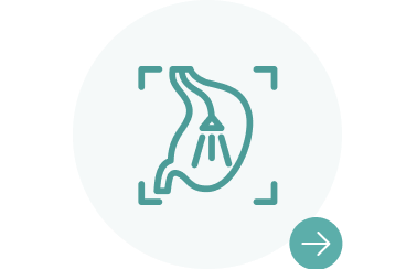 りんごの樹動物総合医療センター | 専門外来専用サイト | 犬・猫・エキゾチックなど動物の専門治療病院 | 皮膚科・眼科・エキゾチック科・腫瘍科・麻酔科・臨床病院科・ 内視鏡外科・循環器科・行動診療科  ・緊急救命科