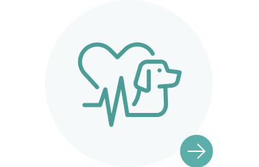 りんごの樹動物総合医療センター | 専門外来専用サイト | 犬・猫・エキゾチックなど動物の専門治療病院 | 皮膚科・眼科・エキゾチック科・腫瘍科・麻酔科・臨床病院科・ 内視鏡外科・循環器科・行動診療科  ・緊急救命科