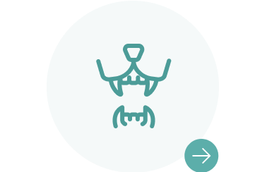 りんごの樹動物総合医療センター | 専門外来専用サイト | 犬・猫・エキゾチックなど動物の専門治療病院 | 皮膚科・眼科・エキゾチック科・腫瘍科・麻酔科・臨床病院科・ 内視鏡外科・循環器科・行動診療科  ・緊急救命科