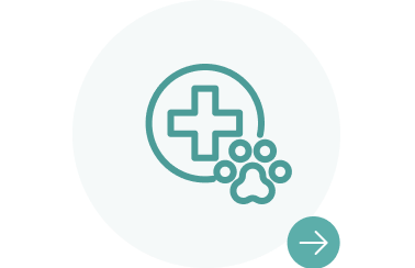 りんごの樹動物総合医療センター | 専門外来専用サイト | 犬・猫・エキゾチックなど動物の専門治療病院 | 皮膚科・眼科・エキゾチック科・腫瘍科・麻酔科・臨床病院科・ 内視鏡外科・循環器科・行動診療科  ・緊急救命科