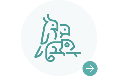 りんごの樹動物総合医療センター | 専門外来専用サイト | 犬・猫・エキゾチックなど動物の専門治療病院 | 皮膚科・眼科・エキゾチック科・腫瘍科・麻酔科・臨床病院科・ 内視鏡外科・循環器科・行動診療科  ・緊急救命科