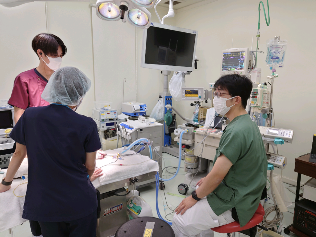 麻酔科特診の紹介|りんごの樹動物事例紹介・セカンドオピニオン情報 | 愛知県安城市の動物病院です