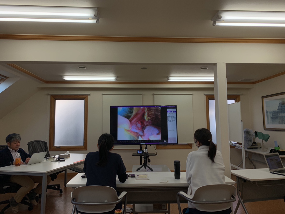腫瘍科勉強会　2023.12.06|りんごの樹動物事例紹介・セカンドオピニオン情報 | 愛知県安城市の動物病院です