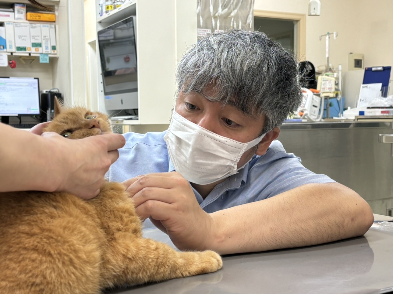 愛知県の動物の専門治療病院 りんごの樹動物病院 | 犬・猫・エキゾチックなど動物の専門治療病院 | 科皮膚科・眼科・エキゾチック科・腫瘍科・麻酔科・臨床病院科・画像診断科・内視鏡外科・循環器科・行動診療科・緊急救命科