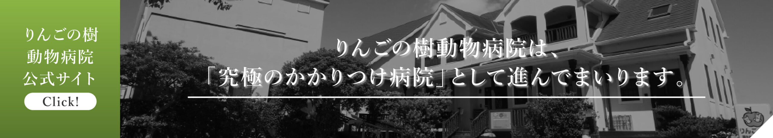 愛知県の動物の専門治療病院 りんごの樹動物病院 | 犬・猫・エキゾチックなど動物の専門治療病院 | 科皮膚科・眼科・エキゾチック科・腫瘍科・麻酔科・臨床病院科・画像診断科・内視鏡外科・循環器科・行動診療科・緊急救命科