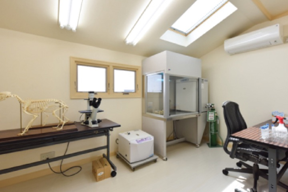 りんごの樹動物総合医療センター | 専門外来専用サイト | 犬・猫・エキゾチックなど動物の専門治療病院 | 皮膚科・眼科・エキゾチック科・腫瘍科・麻酔科・臨床病院科・ 内視鏡外科・循環器科・行動診療科  ・緊急救命科