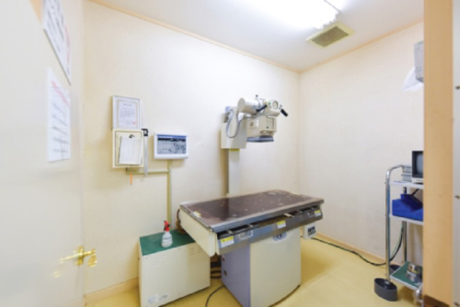 りんごの樹動物総合医療センター | 専門外来専用サイト | 犬・猫・エキゾチックなど動物の専門治療病院 | 皮膚科・眼科・エキゾチック科・腫瘍科・麻酔科・臨床病院科・ 内視鏡外科・循環器科・行動診療科  ・緊急救命科