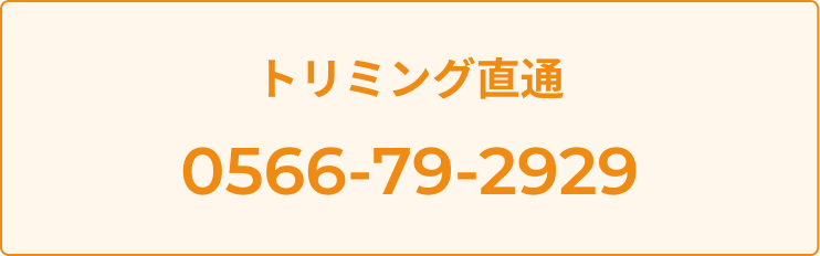愛知県の動物の専門治療病院 りんごの樹動物病院 | 犬・猫・エキゾチックなど動物の専門治療病院 | 科皮膚科・眼科・エキゾチック科・腫瘍科・麻酔科・臨床病院科・画像診断科・内視鏡外科・循環器科・行動診療科・緊急救命科